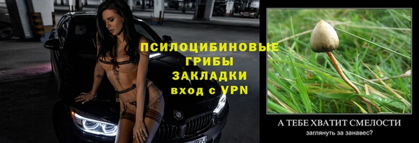амф Новокубанск